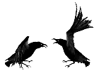 animated-crow-image-0007