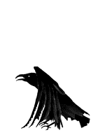 animated-crow-image-0017