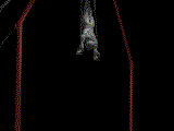 animated-gymnastics-image-0158