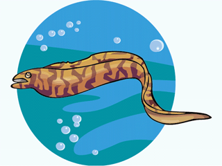 animated-eel-image-0004