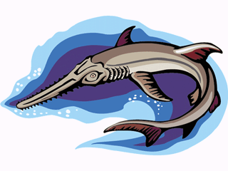 animated-swordfish-image-0002