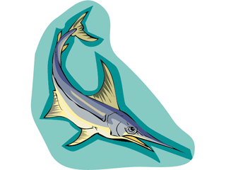 animated-swordfish-image-0008