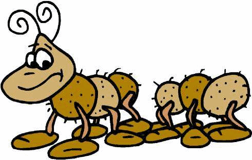 animated-centipede-image-0003