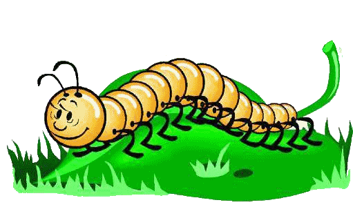 animated-centipede-image-0005