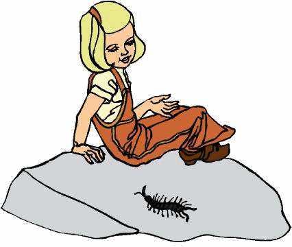 animated-centipede-image-0010