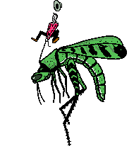 animated-grasshopper-image-0003