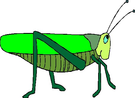 animated-grasshopper-image-0007