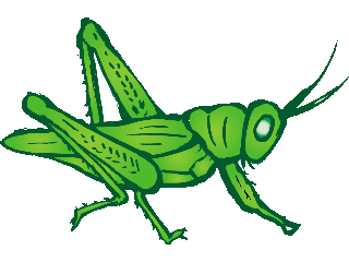 animated-grasshopper-image-0022