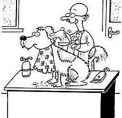 animated-dog-groomer-image-0007