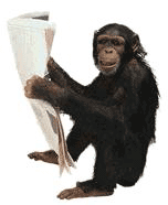 animated-monkey-image-0023