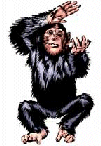 animated-monkey-image-0041