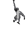 animated-monkey-image-0094