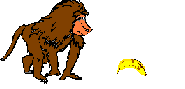 animated-monkey-image-0116