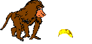 animated-monkey-image-0116