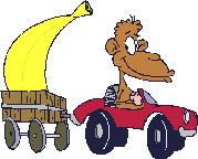 animated-monkey-image-0199