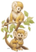 animated-monkey-image-0223