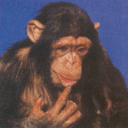 animated-monkey-image-0276