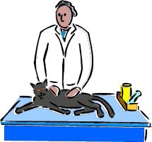 animated-veterinarian-image-0028