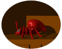 animated-ant-image-0019