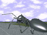 animated-ant-image-0044