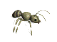 animated-ant-image-0053