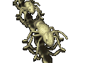 animated-ant-image-0067