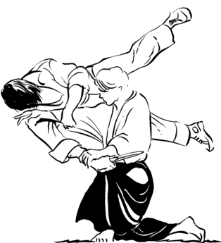 animated-aikido-image-0021