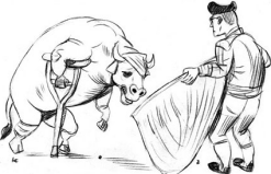 animated-bullfighting-image-0012