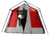 animated-bear-image-0132