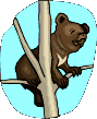animated-bear-image-0158