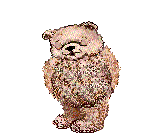 animated-bear-image-0171