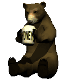 animated-bear-image-0608