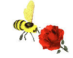 animated-bee-image-0161