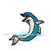 animated-dolphin-image-0004