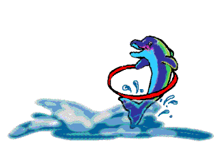 animated-dolphin-image-0017