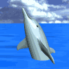animated-dolphin-image-0074