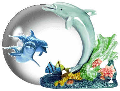animated-dolphin-image-0121