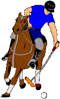 animated-polo-image-0014