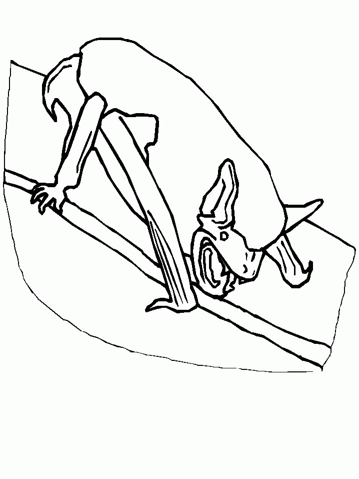 animated-coloring-pages-bat-image-0006