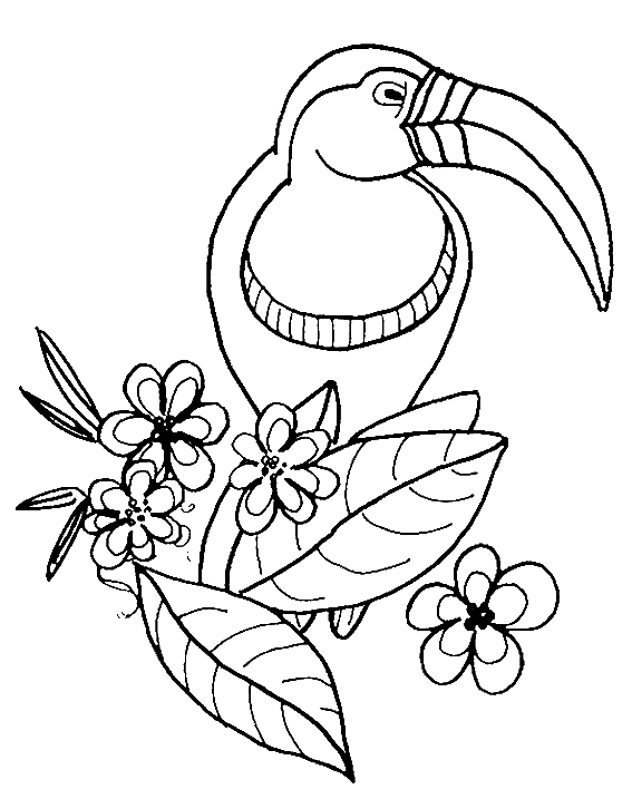 animated-coloring-pages-bird-image-0021