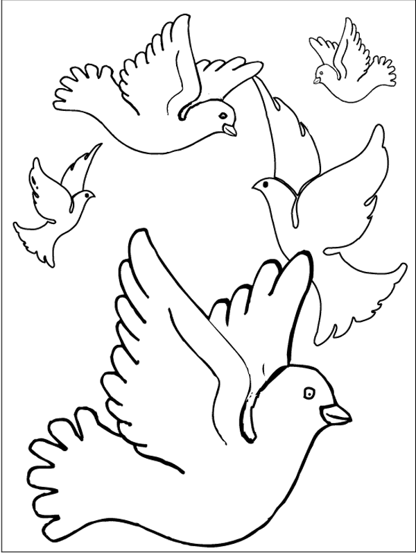 animated-coloring-pages-bird-image-0044