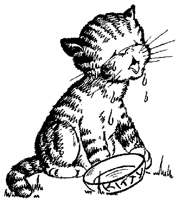 animated-coloring-pages-cat-image-0006