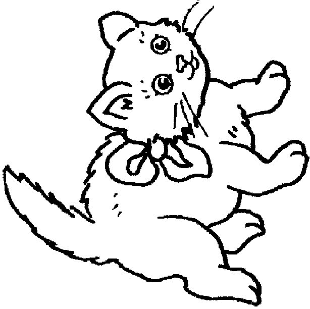animated-coloring-pages-cat-image-0009