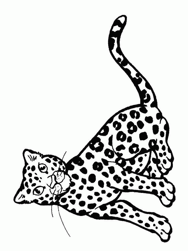 animated-coloring-pages-cheetah-image-0013