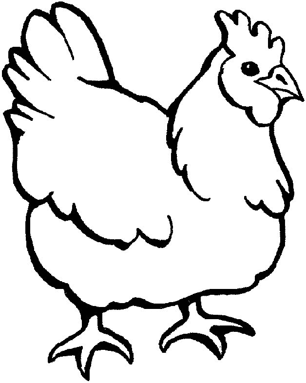 animated-coloring-pages-chicken-image-0010