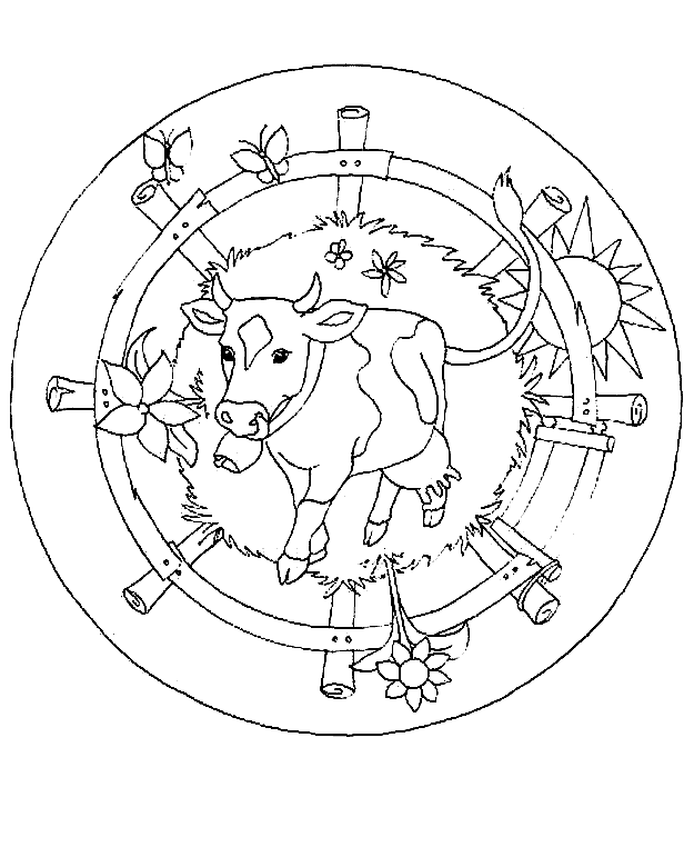 animated-coloring-pages-cow-image-0025