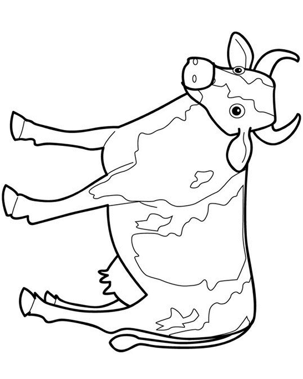 animated-coloring-pages-cow-image-0026