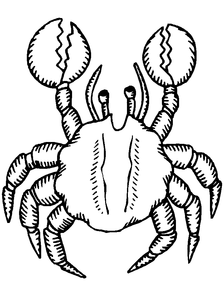 animated-coloring-pages-crab-image-0008