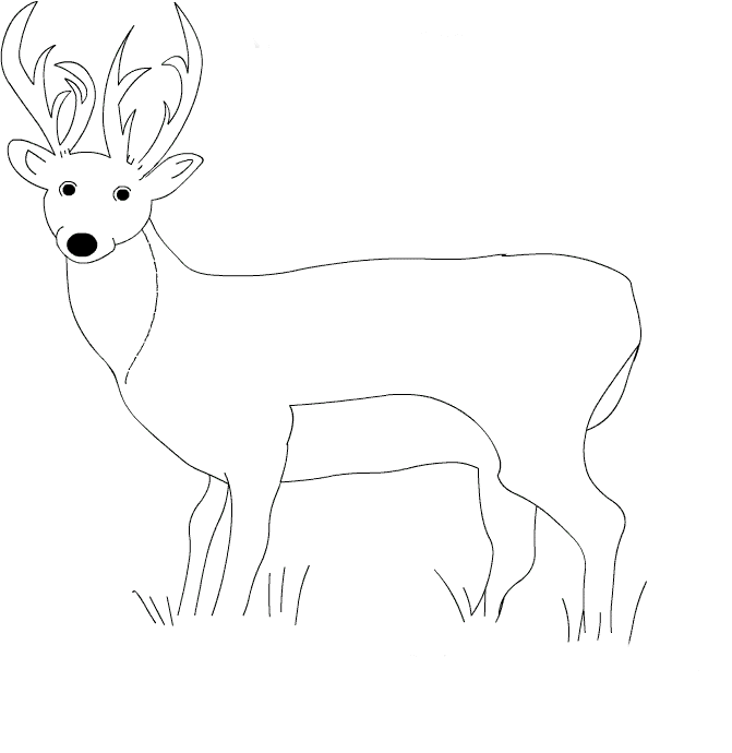 animated-coloring-pages-deer-image-0008