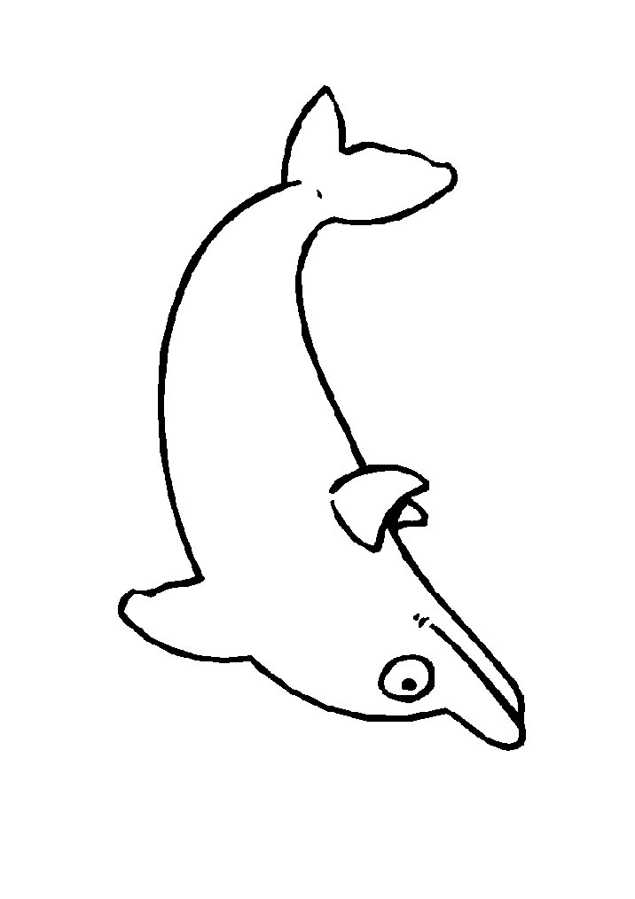 animated-coloring-pages-dolphin-image-0010